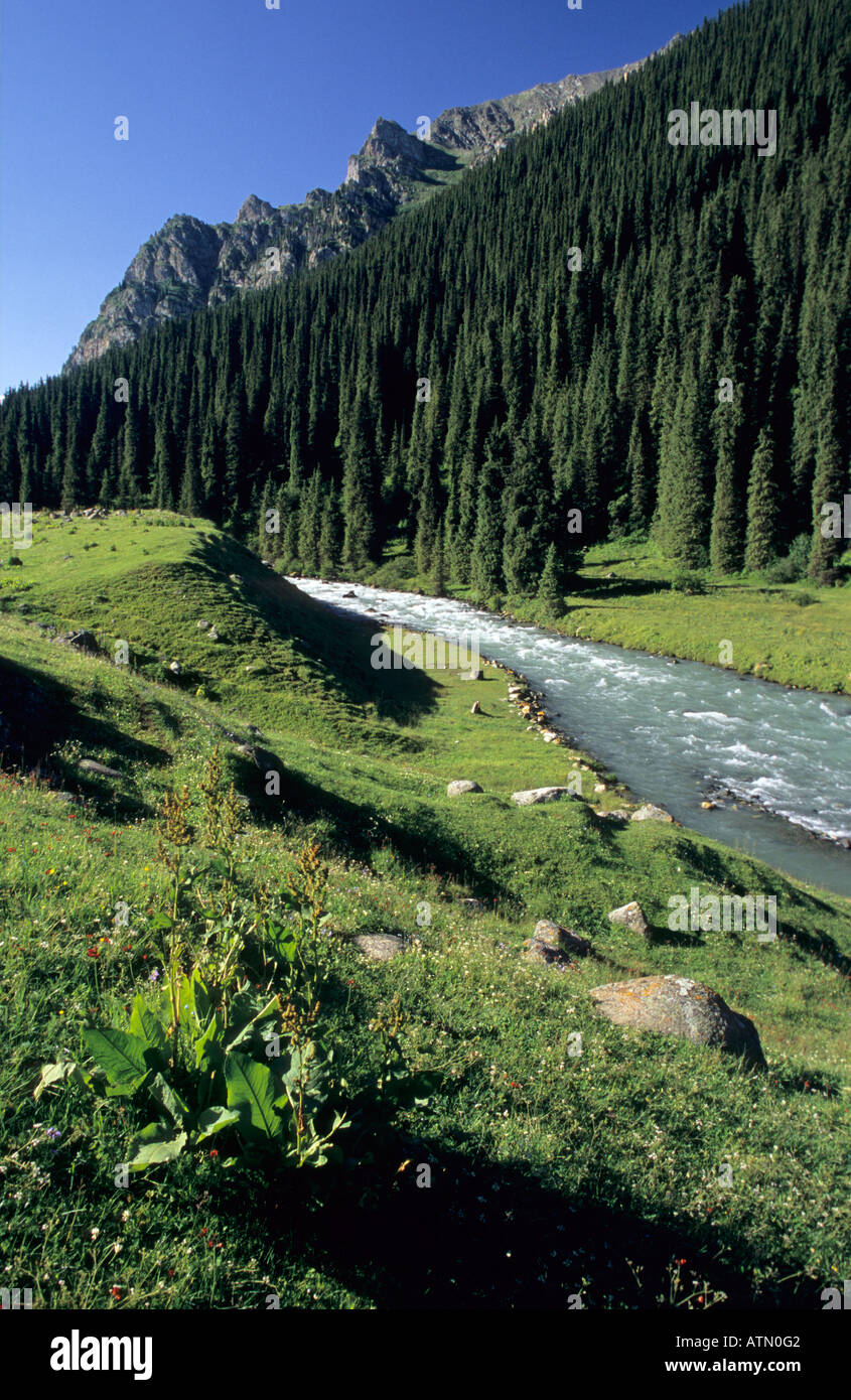 Altyn Arashan valley with Arashan river Terskey Alatau Mountains Tian Shan Kyrgyzstan Stock Photo