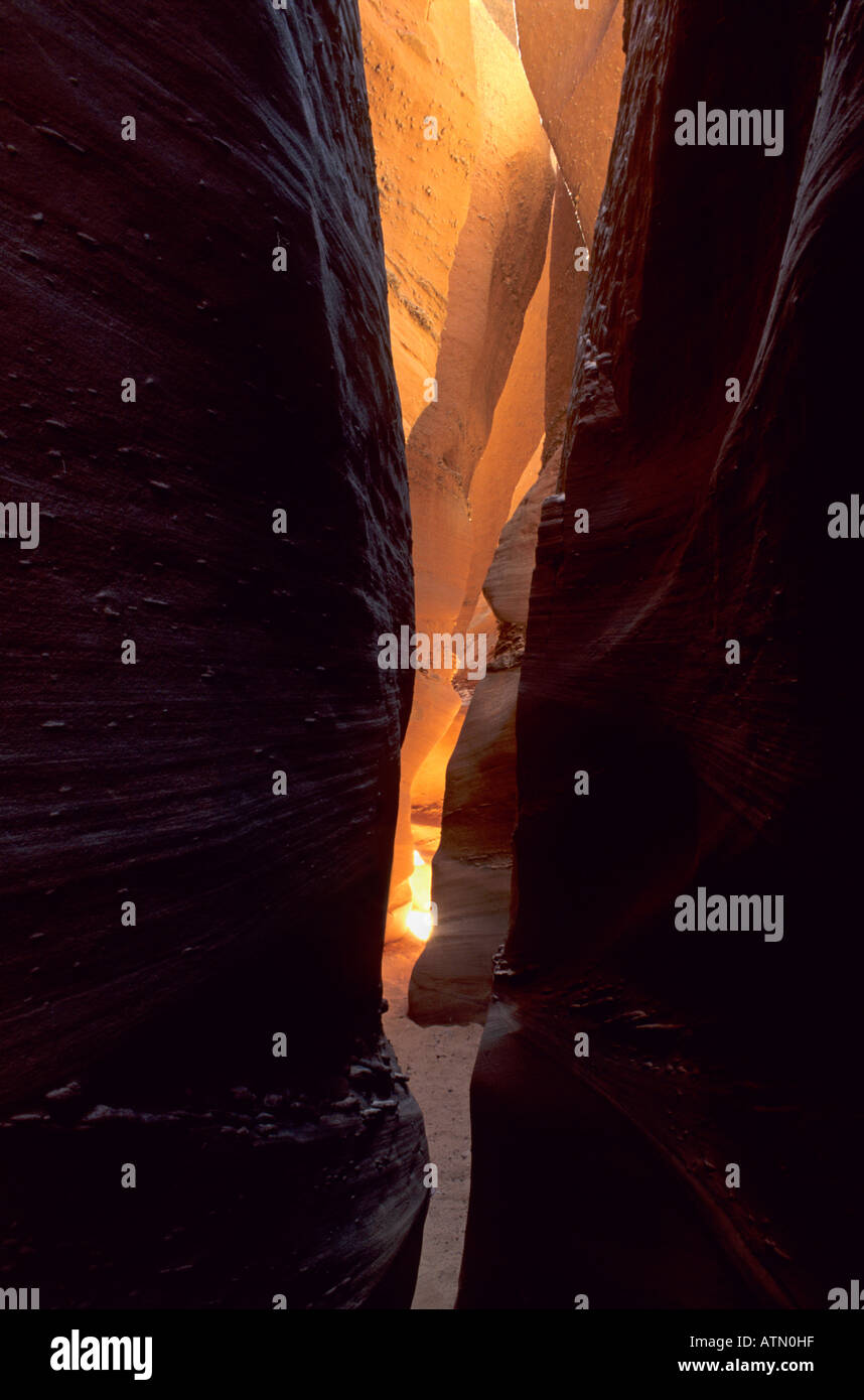 Spooky Gulch at Coyote Gulch Grand Staircase Escalante National ...