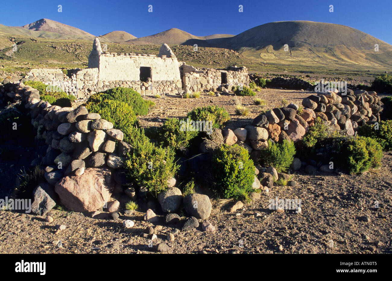 Deserted Indian Farmhouse At Salar De Uyuni Bolivia Stock Photo Alamy
