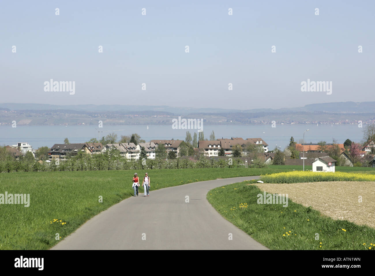 Downhill road leading to villlage of Scherzingen on the shores of Lake Constance. Stock Photo