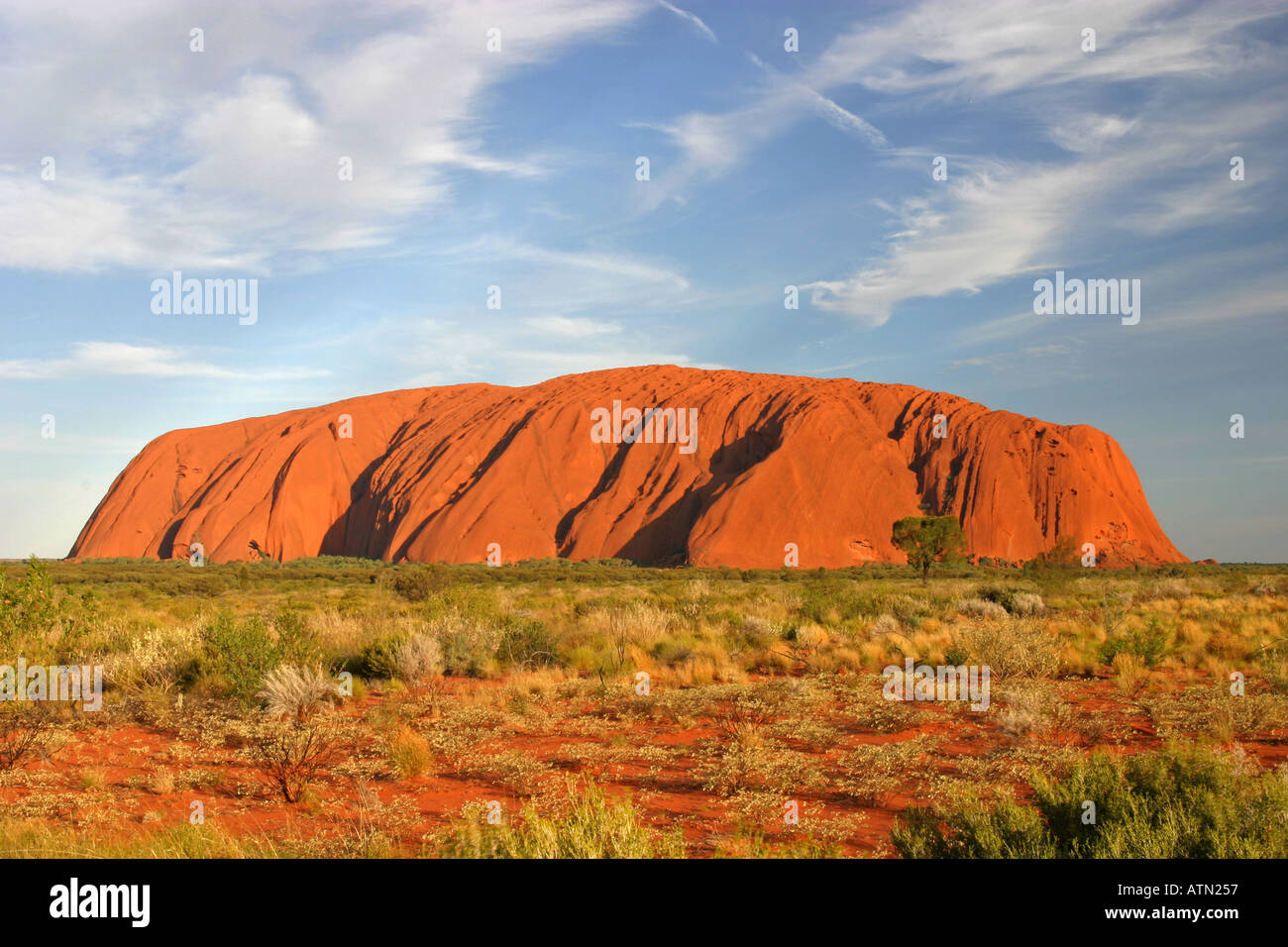 Ayers Rock Uluru Glows In Late Evening Sunlight Northern Territory Red Center Australia Stock Photo Alamy