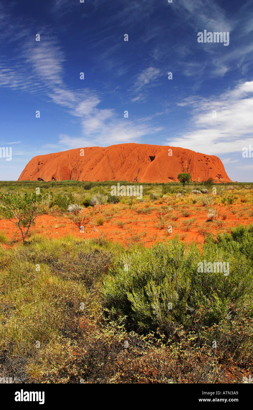 optager tvetydigheden legeplads Iconic classic view of red Ayers Rock Uluru against an extreme deep blue  sky northern territory Australia Stock Photo - Alamy