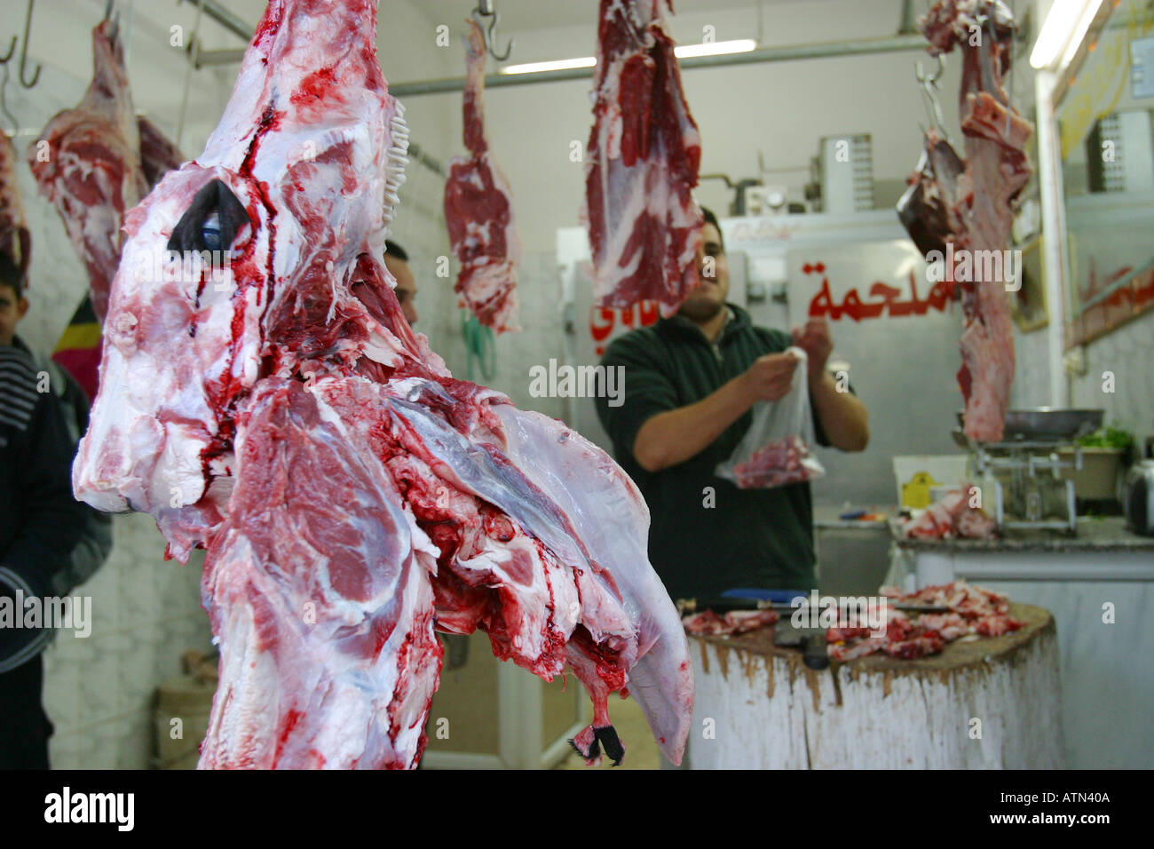 A Butcher working in his shop with a dead cow head hanging in the shop front In the Balata refugee camp in Nablus Stock Photo