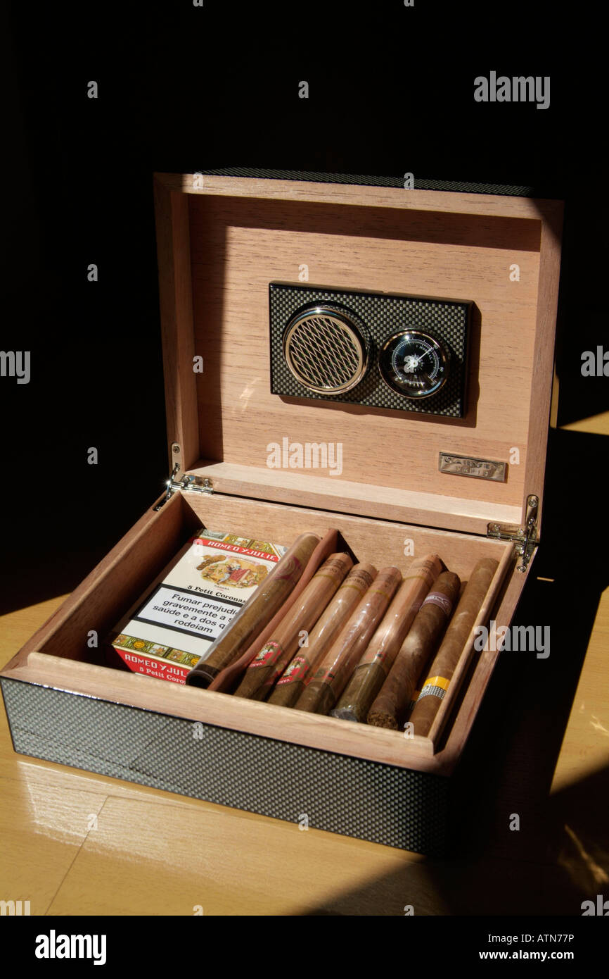 cigars in humidor Stock Photo Alamy