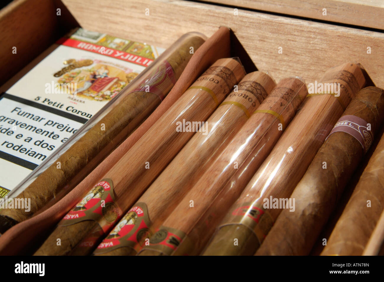 cigars in humidor Stock Photo Alamy