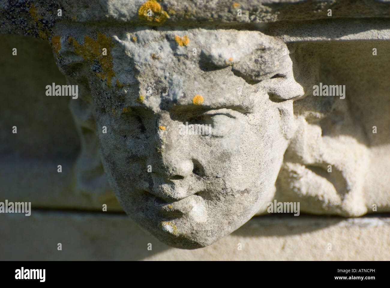 Handcarved Arbesia Wood Buddha Mask Handcarved Arbesia Wood Buddha Mask