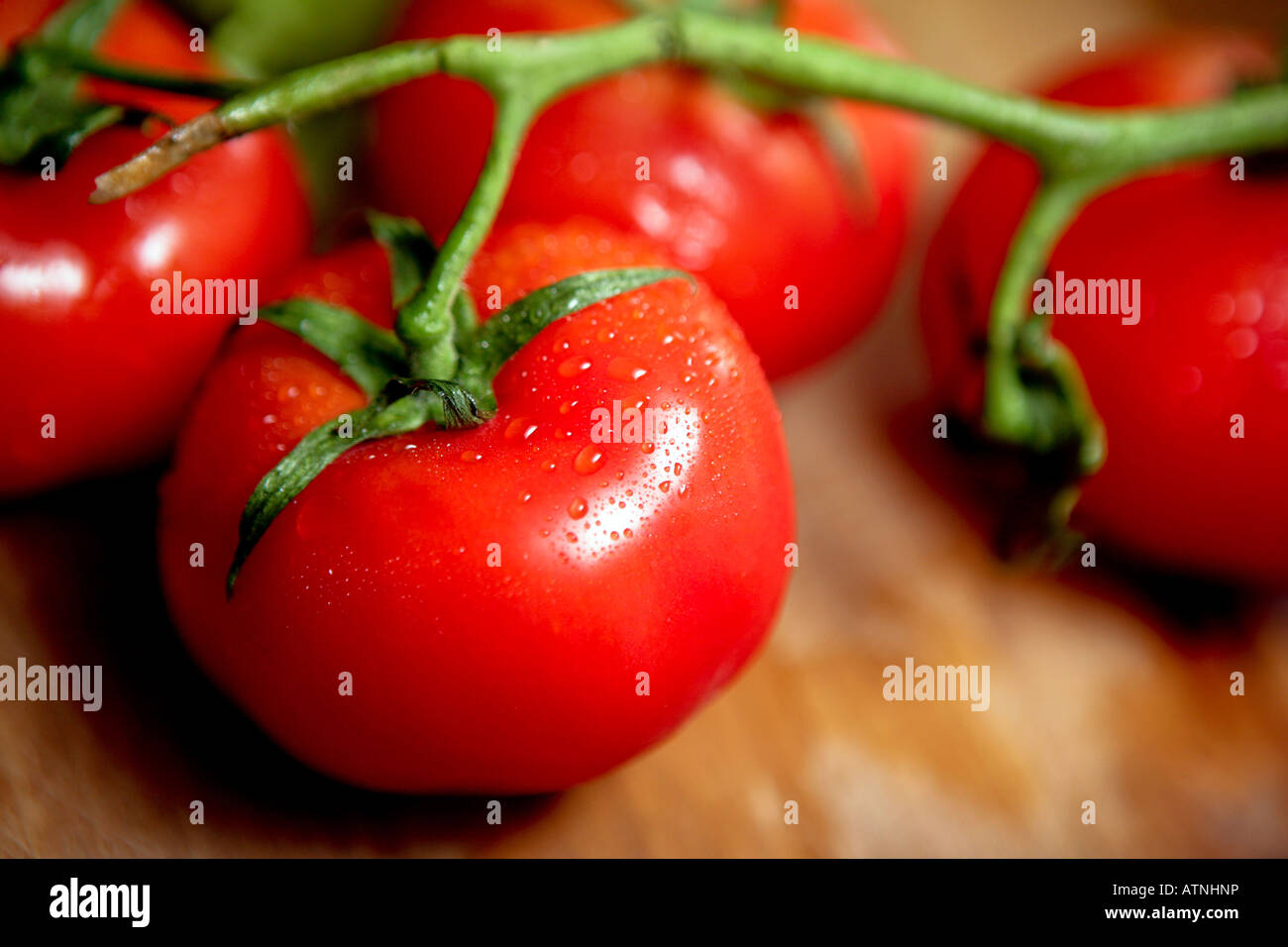 Fresh cluster tomatoes with green branch Stock Photo