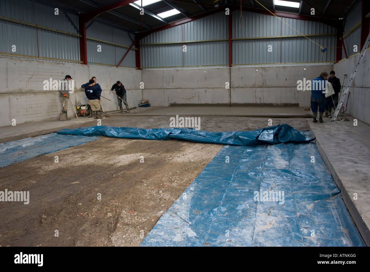 Laying cement floor in large barn using strike roller which helps