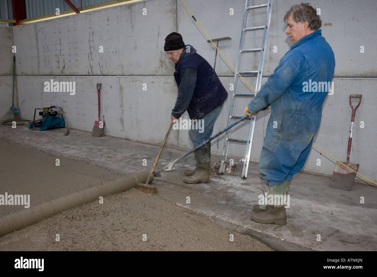 Laying Cement Floor In Large Barn Using Strike Roller Which Helps