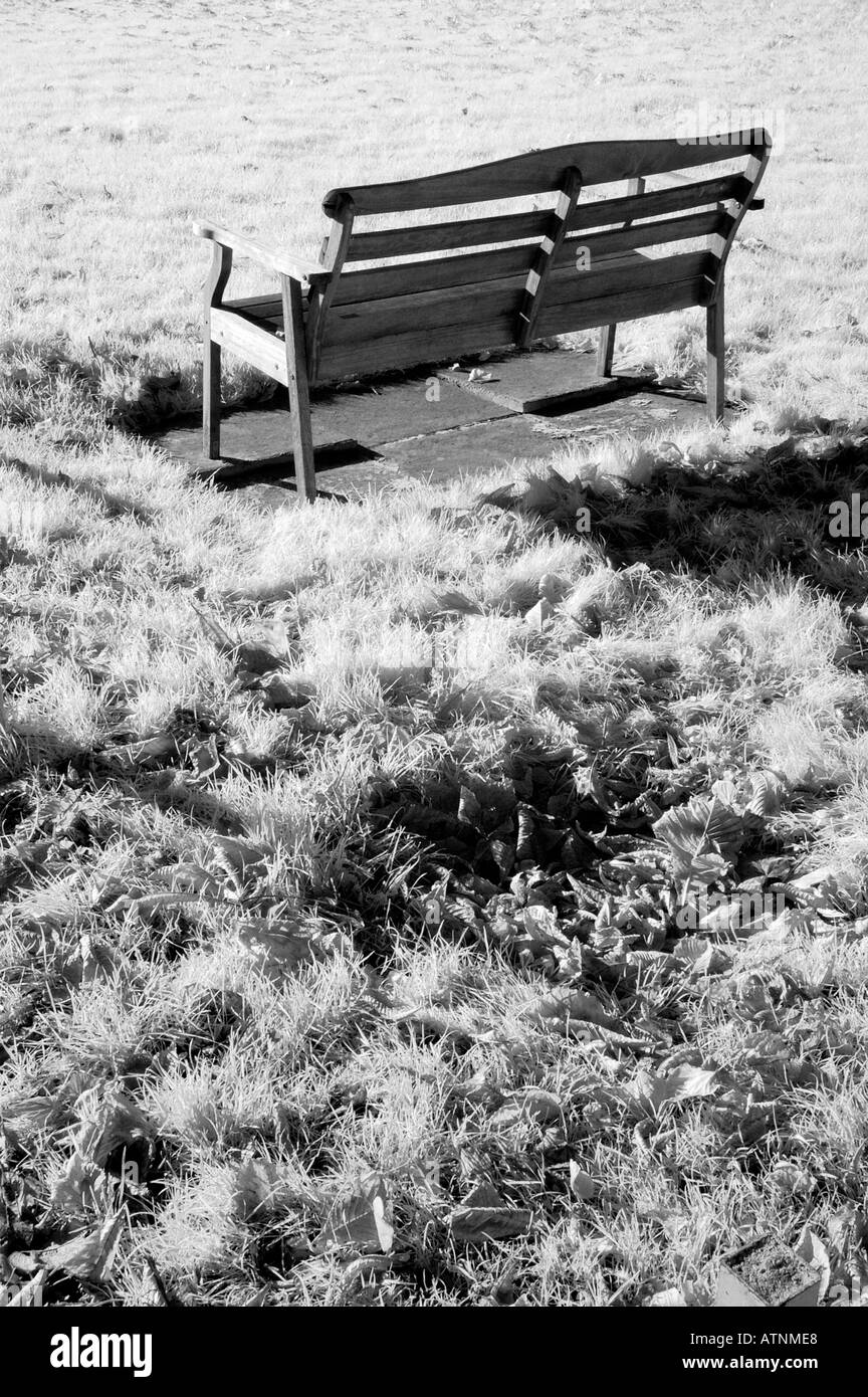 Unoccupied wooden bench in park Infrared Stock Photo