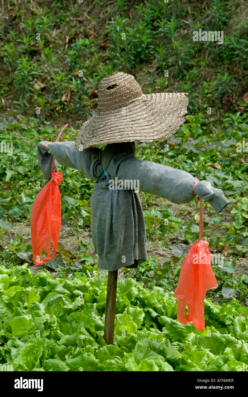 Scarecrow, Lamma Island, Hong Kong, China Stock Photo