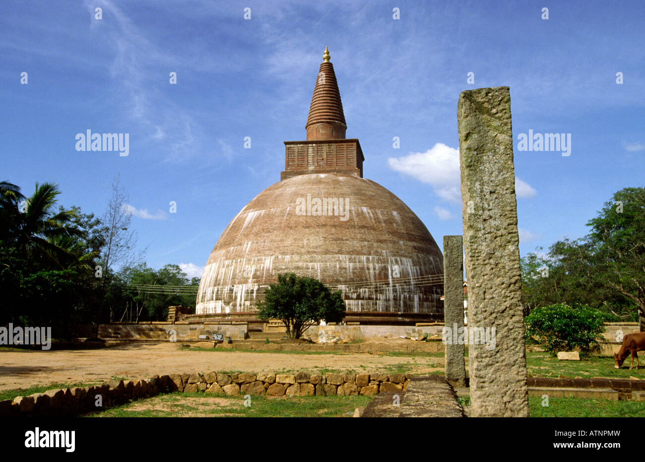 Sri Lanka Anuradhapura the Mirisavatiya Dagoba Stock Photo