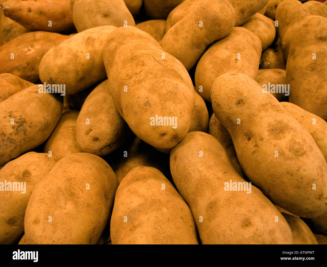 A supermarket display of U S grown potatoes Stock Photo