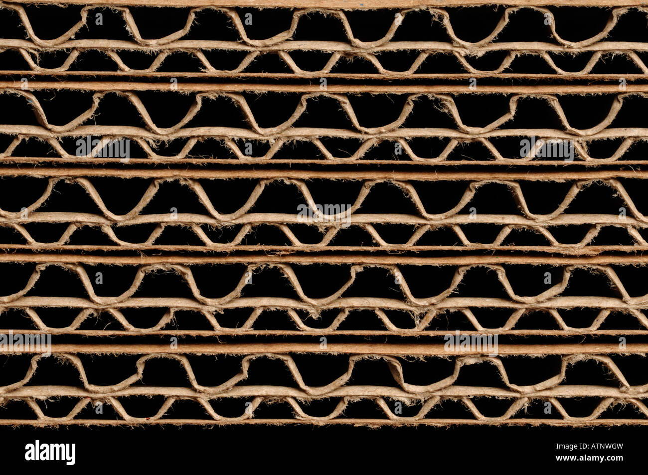 Corrugated cardboard pattern Stock Photo