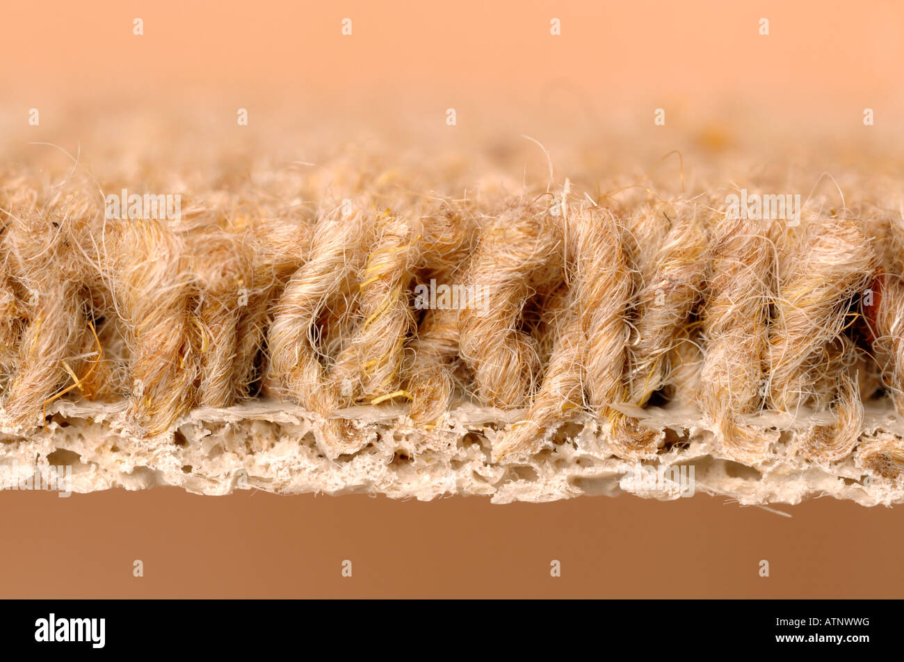 Carpet close up side profile Stock Photo Alamy
