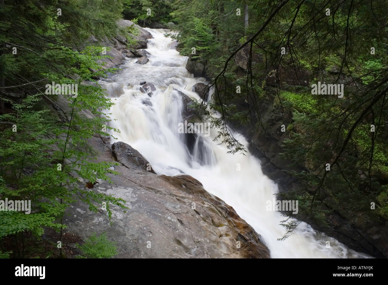 Auger Waterfall, Adirondack Mountains, New York Stock Photo