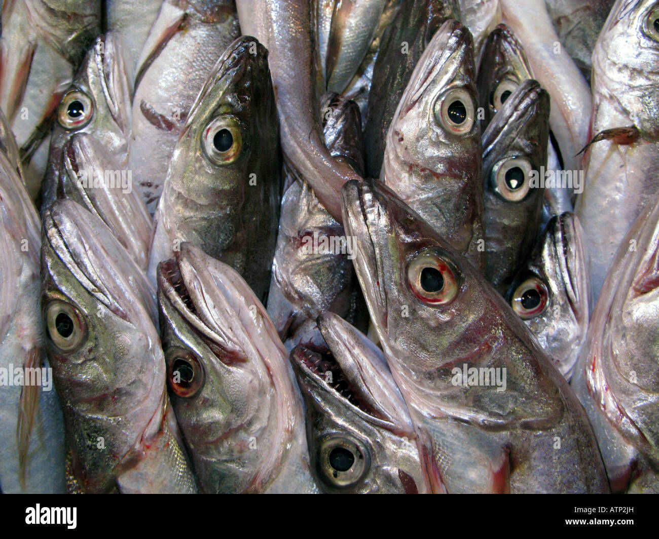 fish on market stall, Palma, Mallorca, Spain Stock Photo