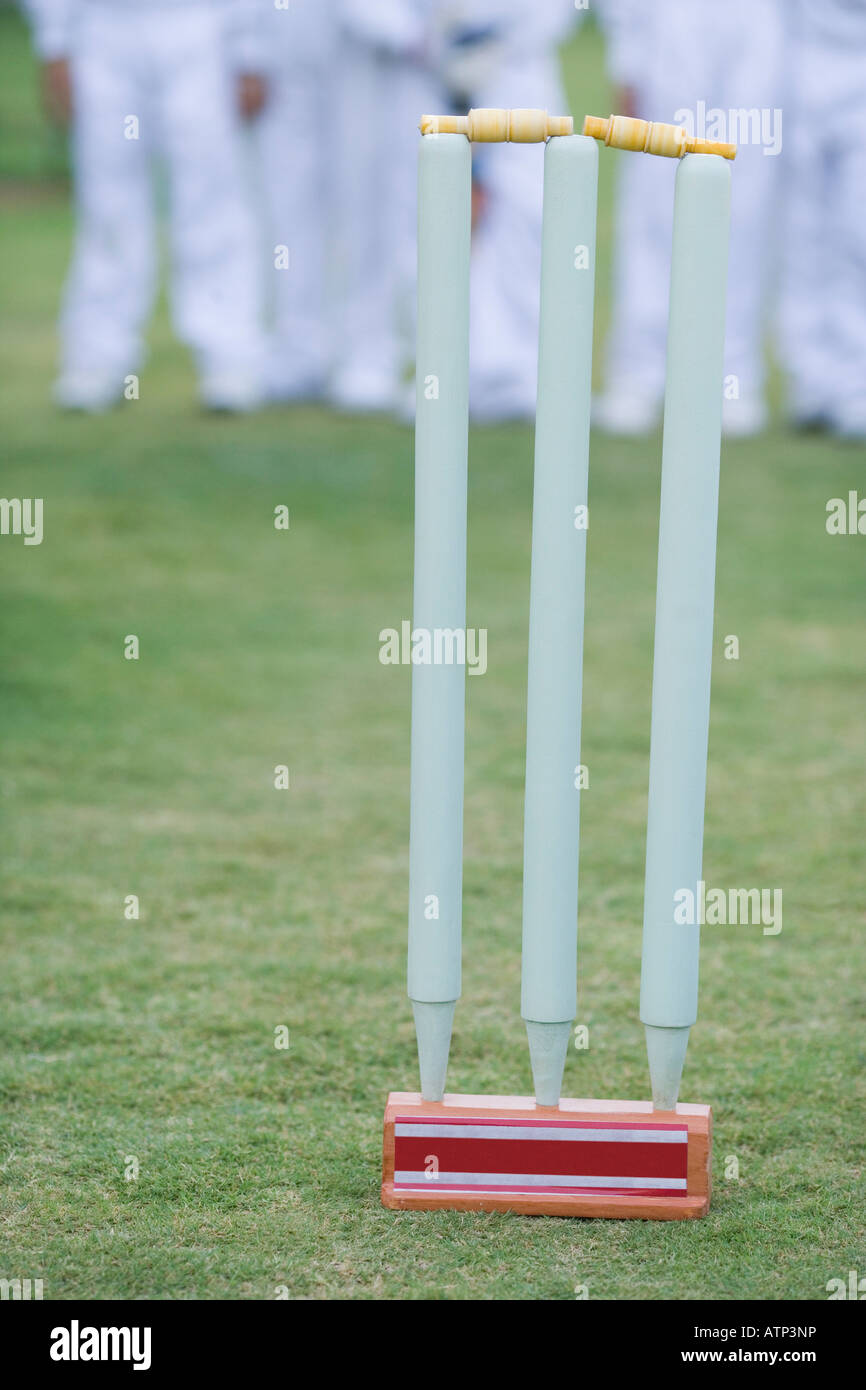 Close-up of cricket stumps Stock Photo
