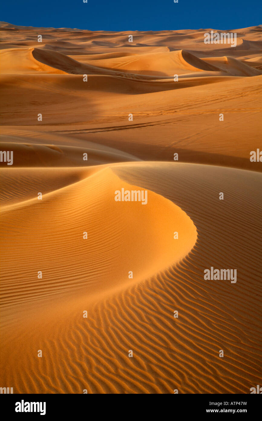 Desert scene- dunes of Dubai 1 Stock Photo