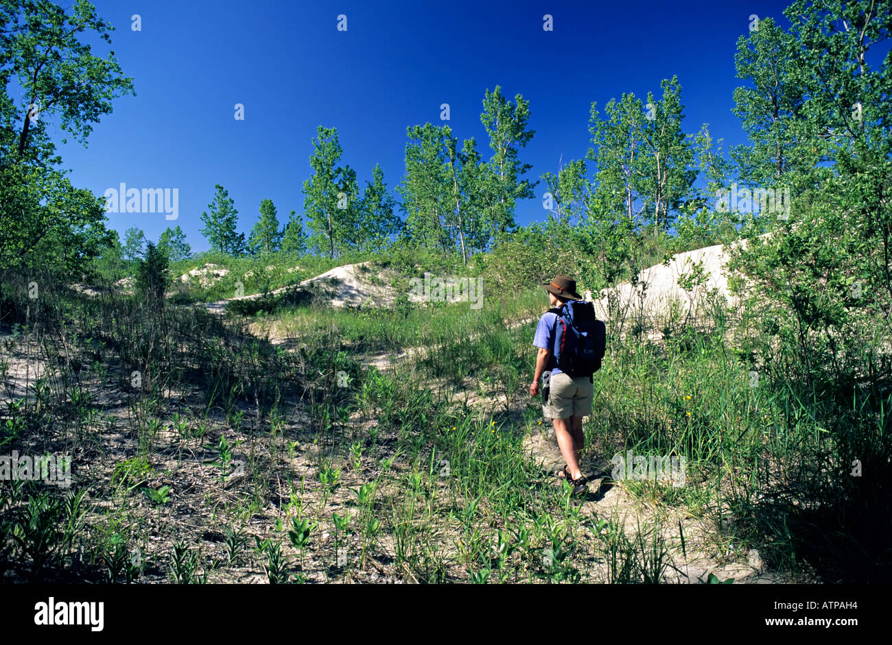 Backpacking through dunes Sandbanks provincial park Lake Ontario