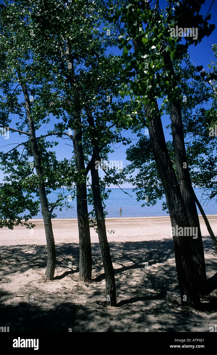 Beach at Sandbanks provincial park Lake Ontario Ontario Canada Stock