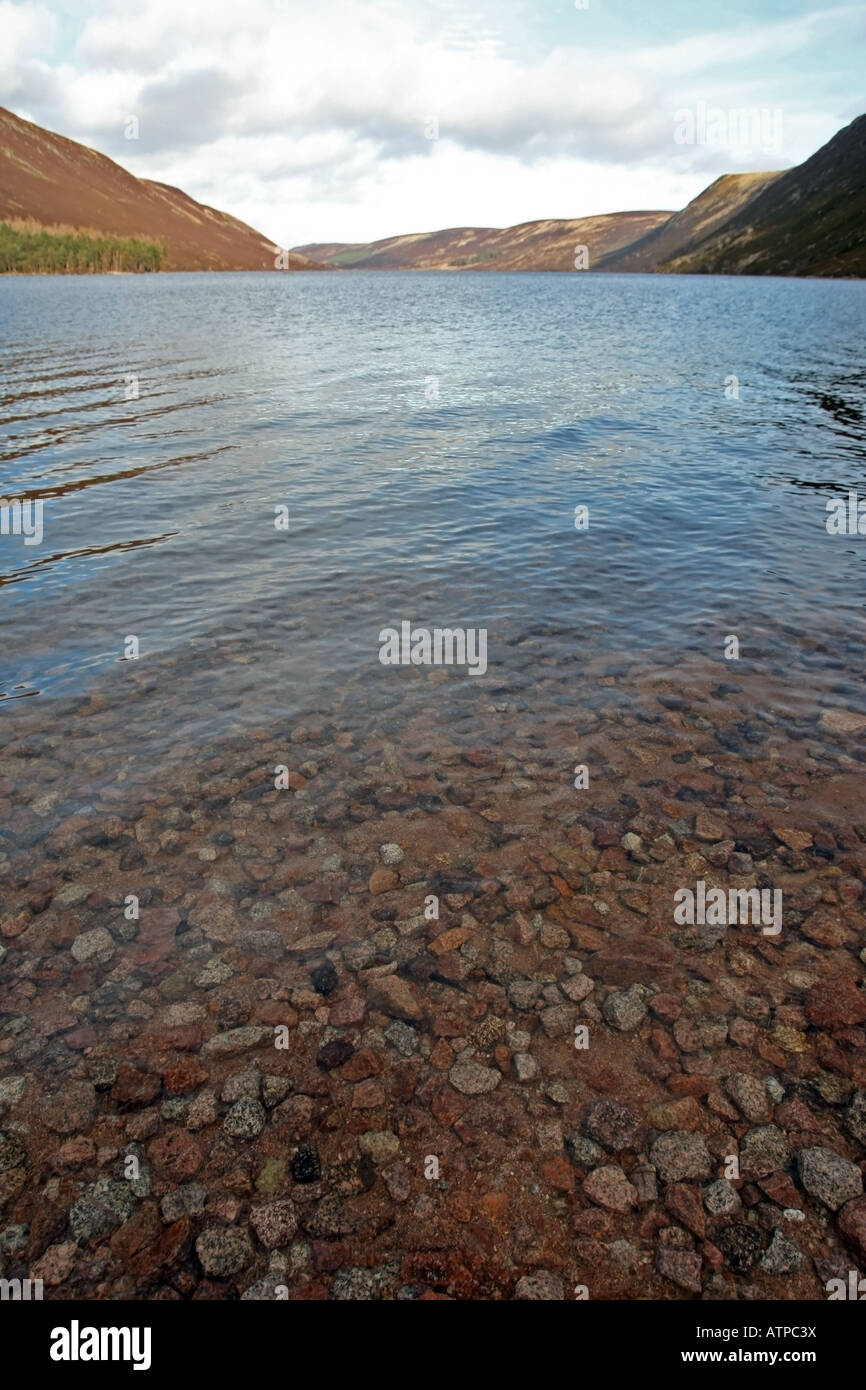 Very clean and clear water of Loch Muick near Ballater, Aberdeenshire, Scotland, UK Stock Photo