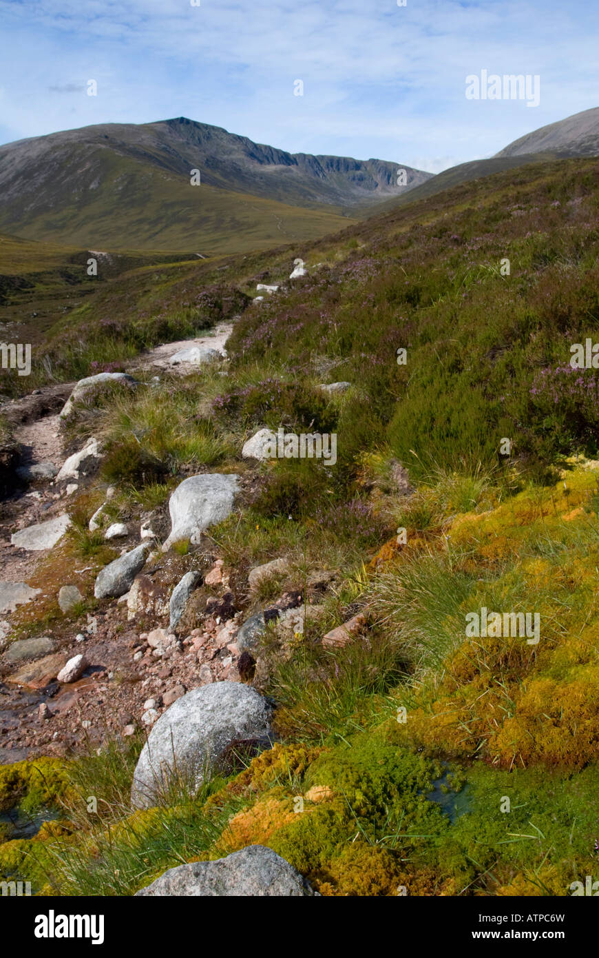 Stron Riach Sron Riach ridge leading to the summit of Ben Macdui in the Cairngorm ...