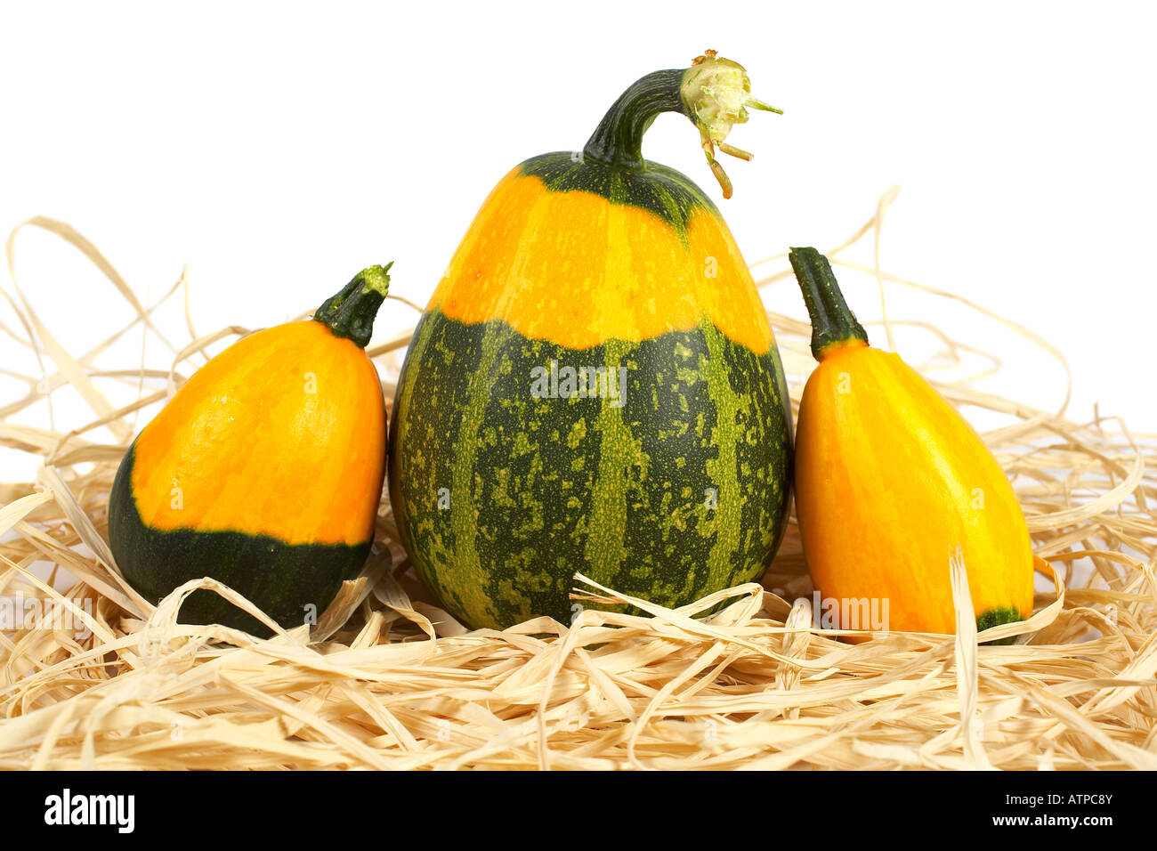 A yellow and green pumpkins on straw background Shallow DOF Stock Photo ...
