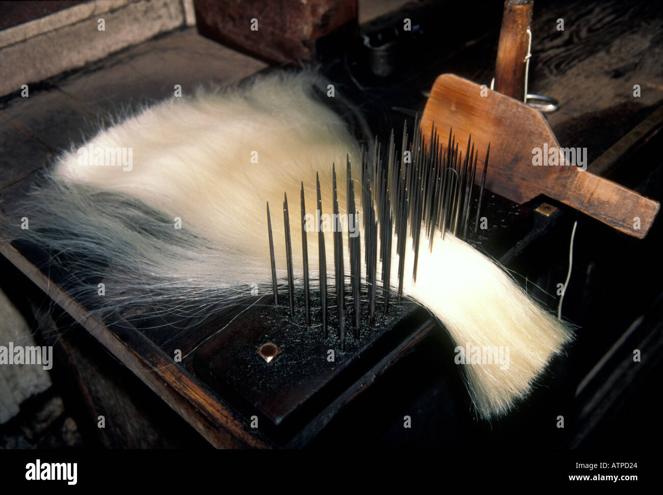 Combing and cleaning hair from a horses tail before wearing it to form