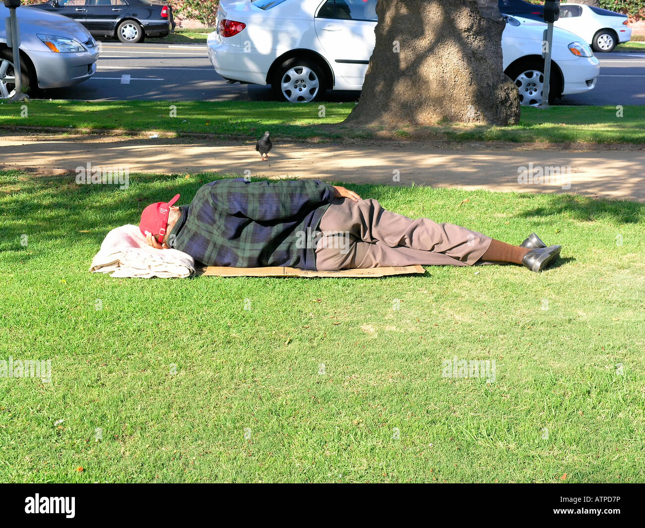 Homeless person sleeping on the cardboard in Pacific Palisades Stock Photo
