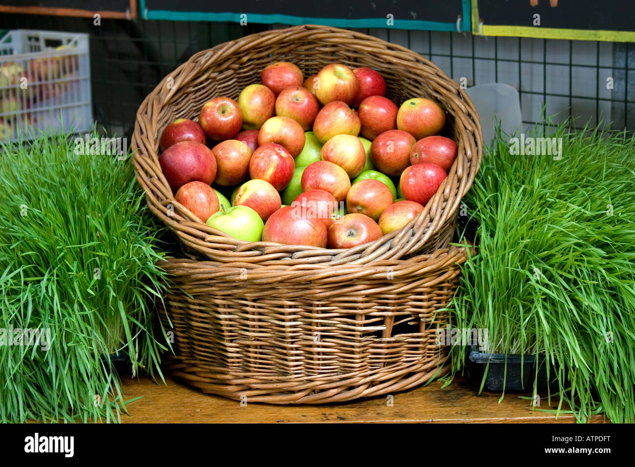 Apples and wheatgrass at Organic juices stall in Borough Market, London Stock Photo