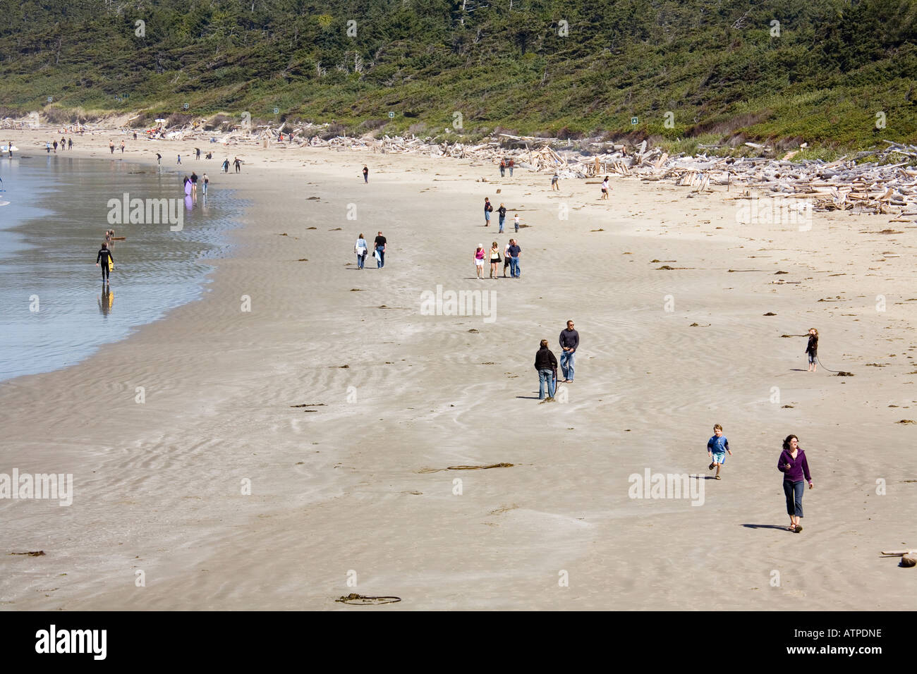 People walking on Wickanninish Beach Pacific Rim national park Vancouver island Canada Stock Photo