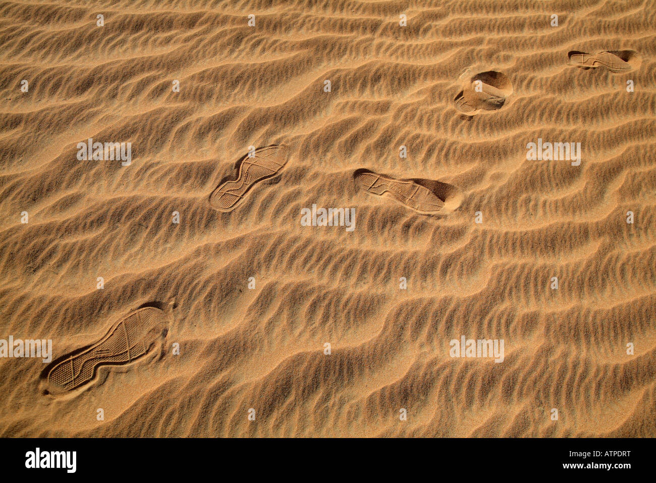 Footsteps in the desert- Dubai 2 Stock Photo