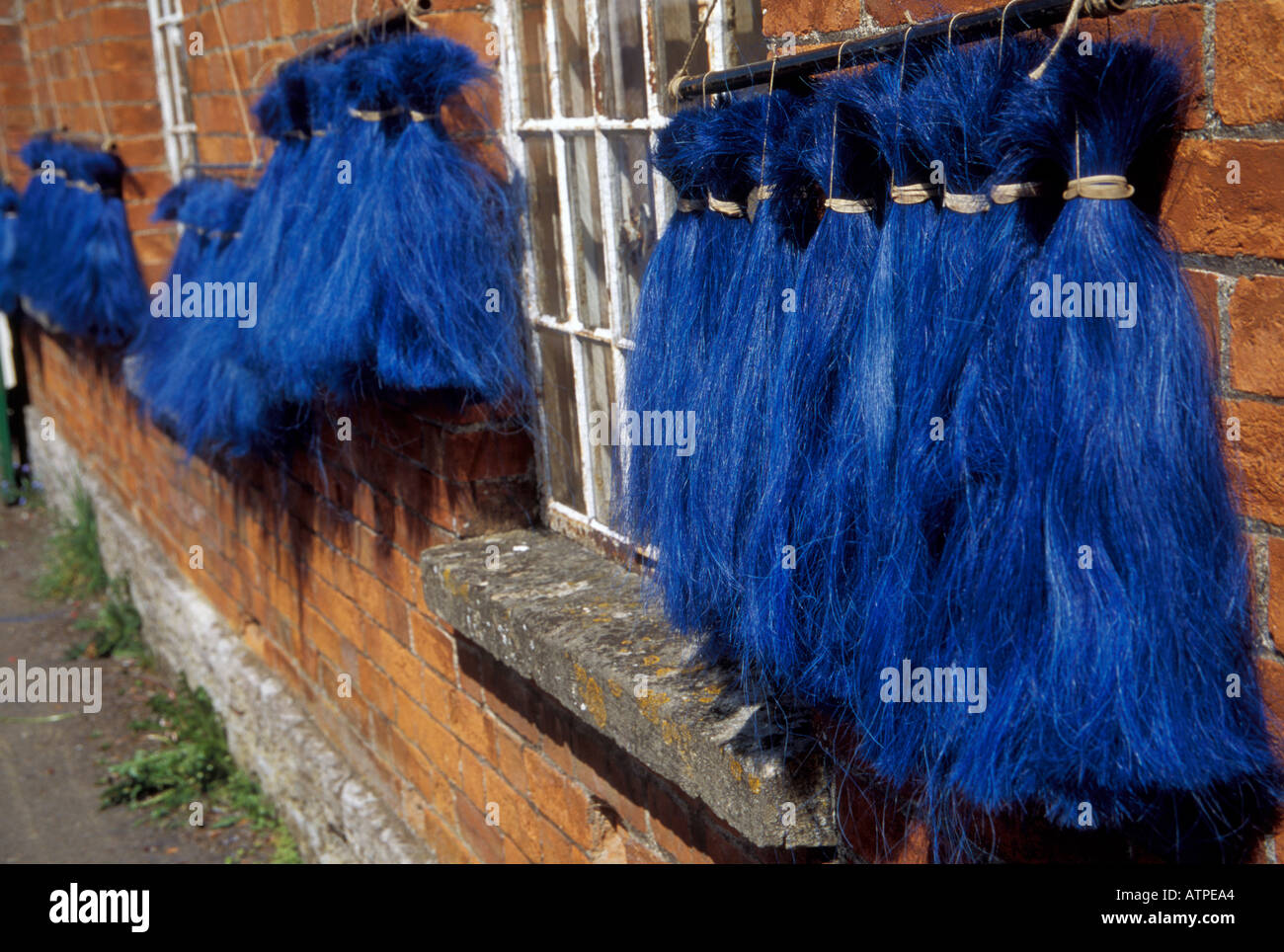 Hair which has been dyed and dryng, from horses tail before wearing it