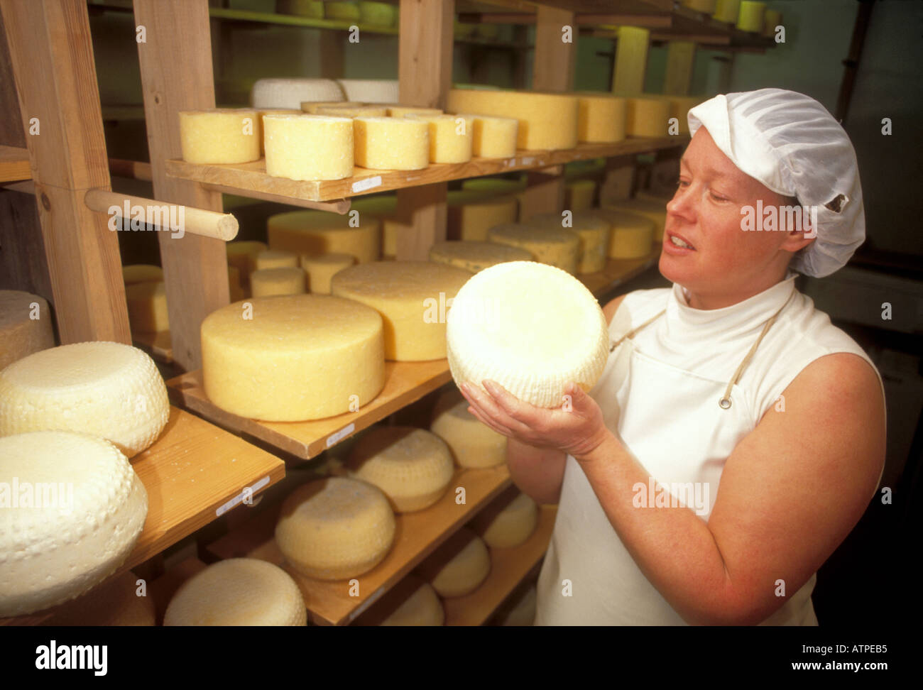 Net veined hires stock photography and images Alamy