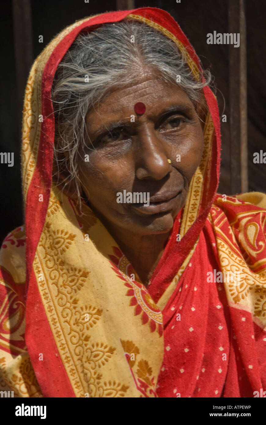 Portrait of an elderly Indian woman wearing a bright red sari Stock ...