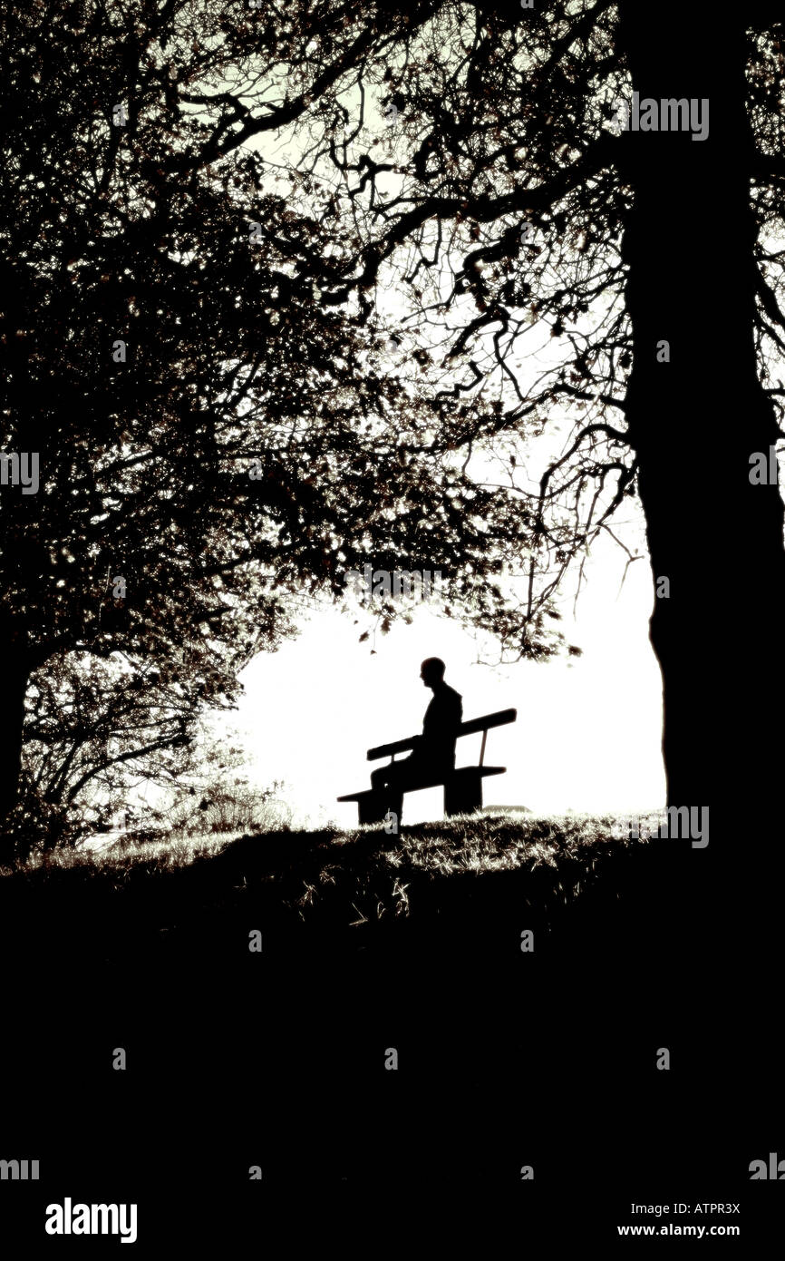 Silhouette of man sitting on a bench under a tree Stock Photo