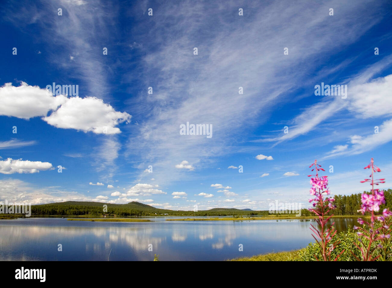 Lake / Jokkmokk Stock Photo