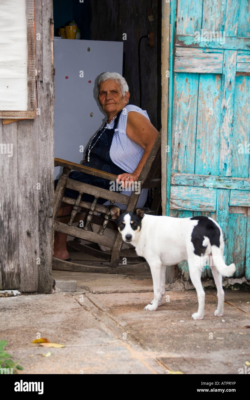 Woman  with dog / Varadero Stock Photo