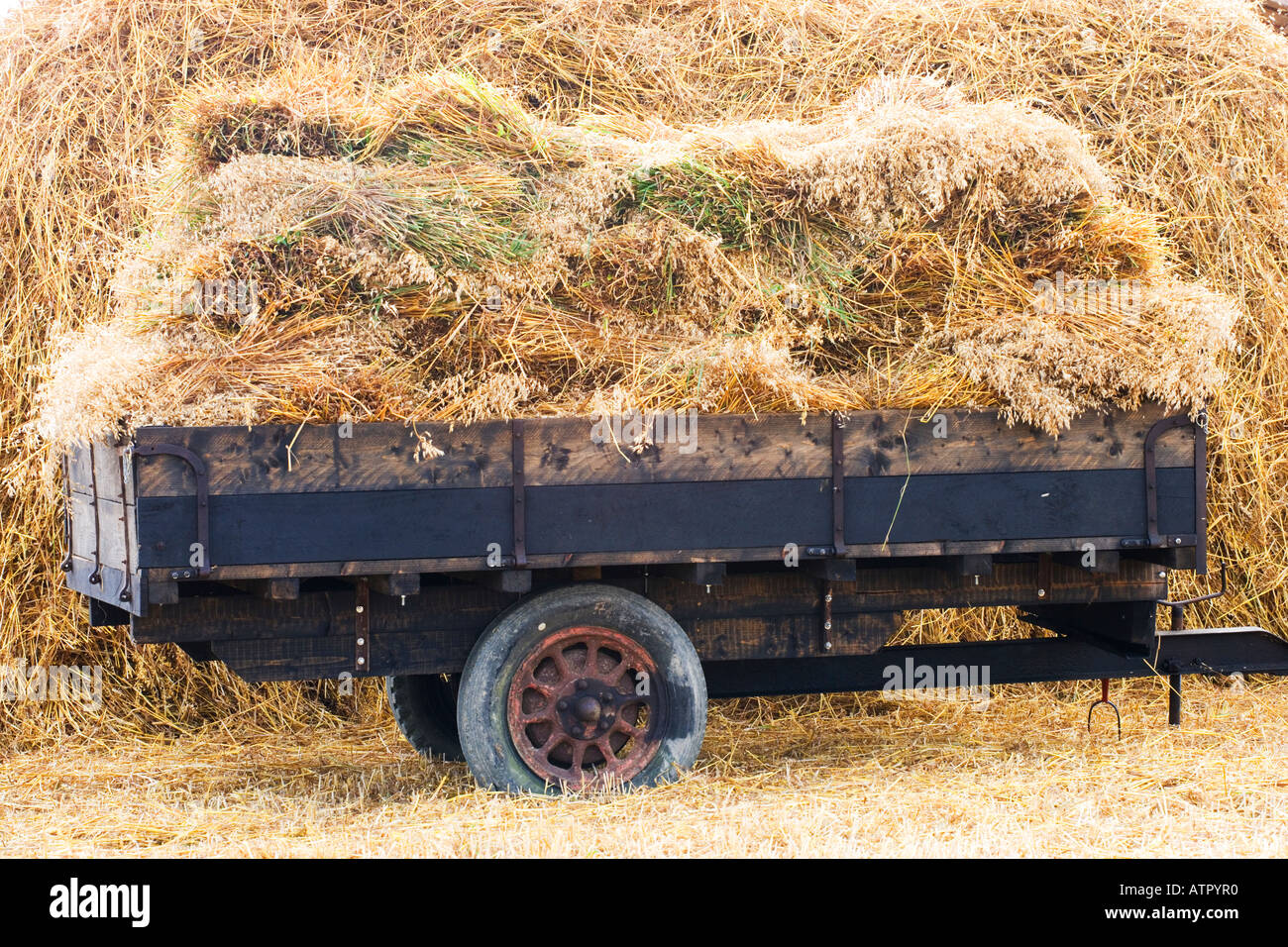 two wheeled hay cart in front of haystack Stock Photo Alamy