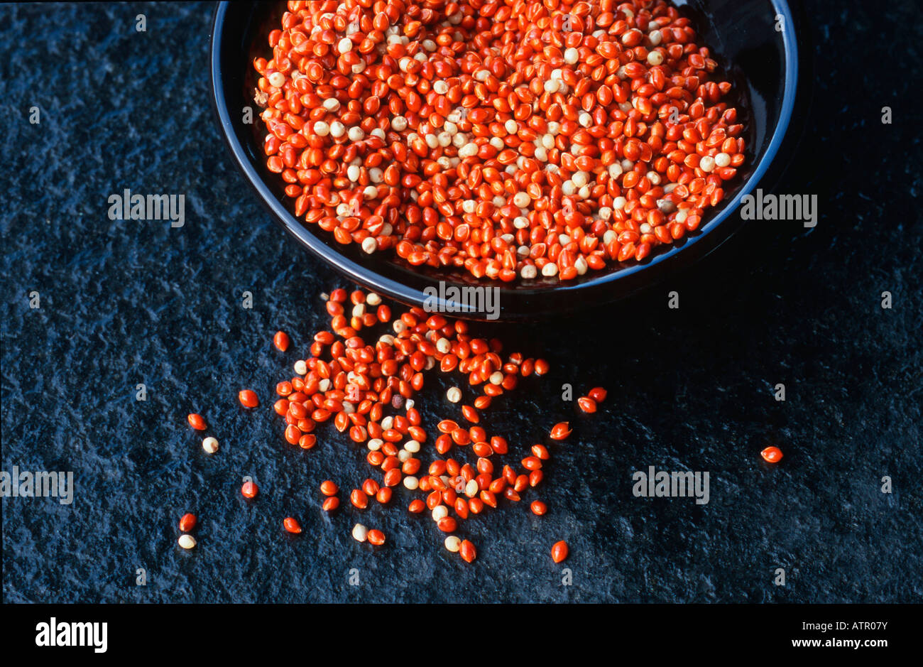 Red Millet Stock Photo
