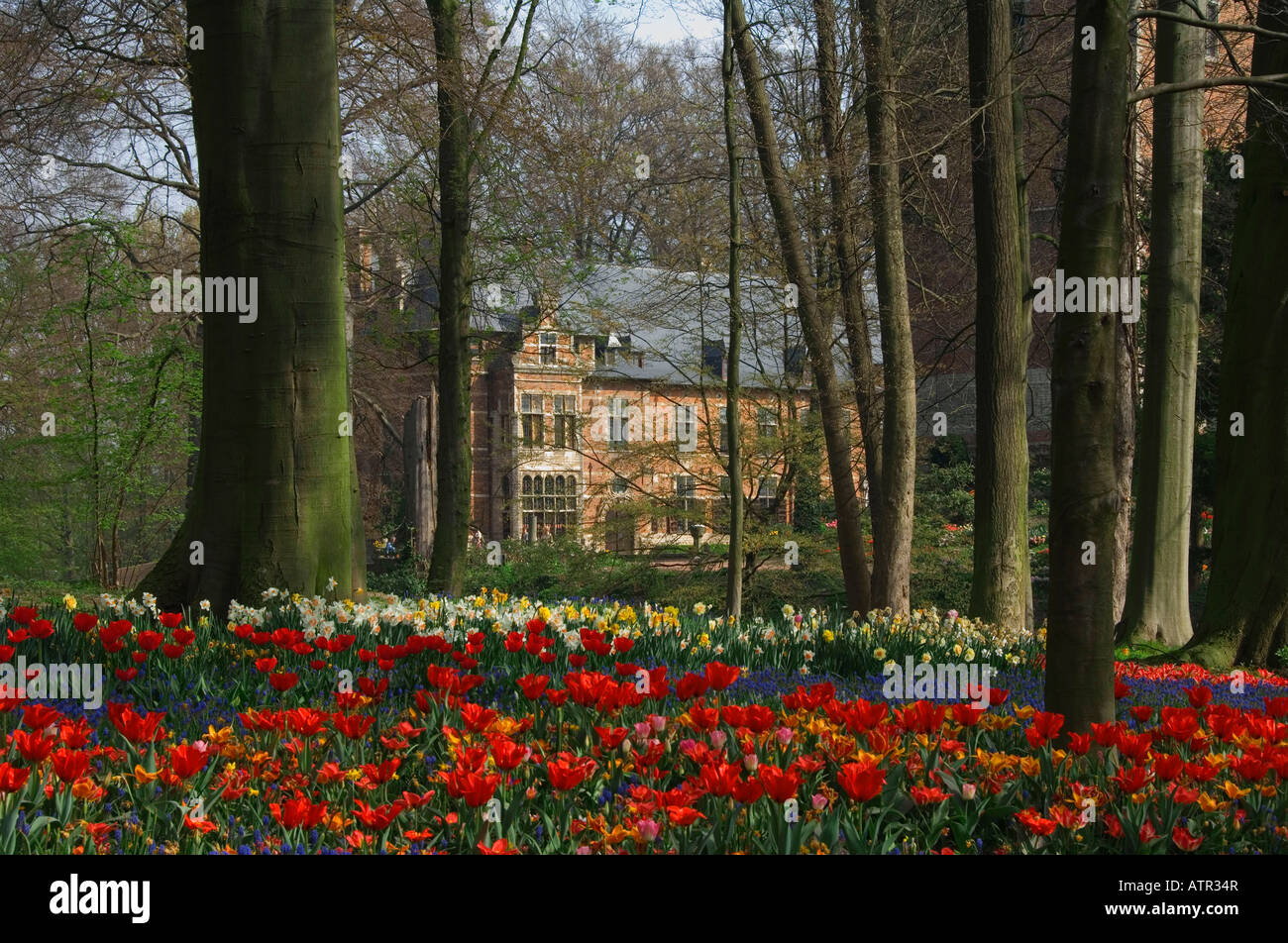 Spring flowers hi-res stock photography and images - Alamy