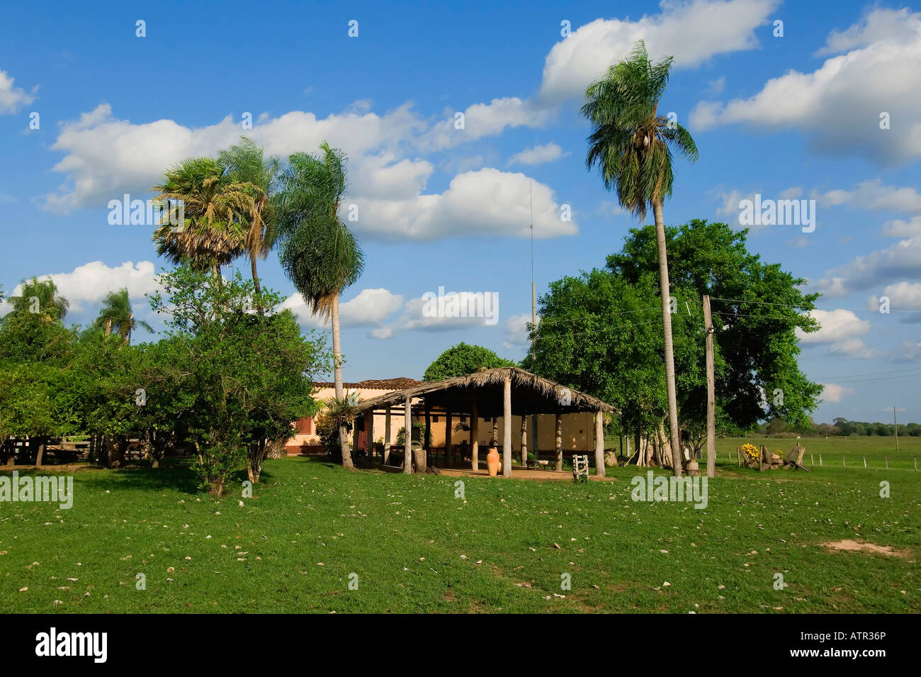Fazenda caranda hi-res stock photography and images - Alamy