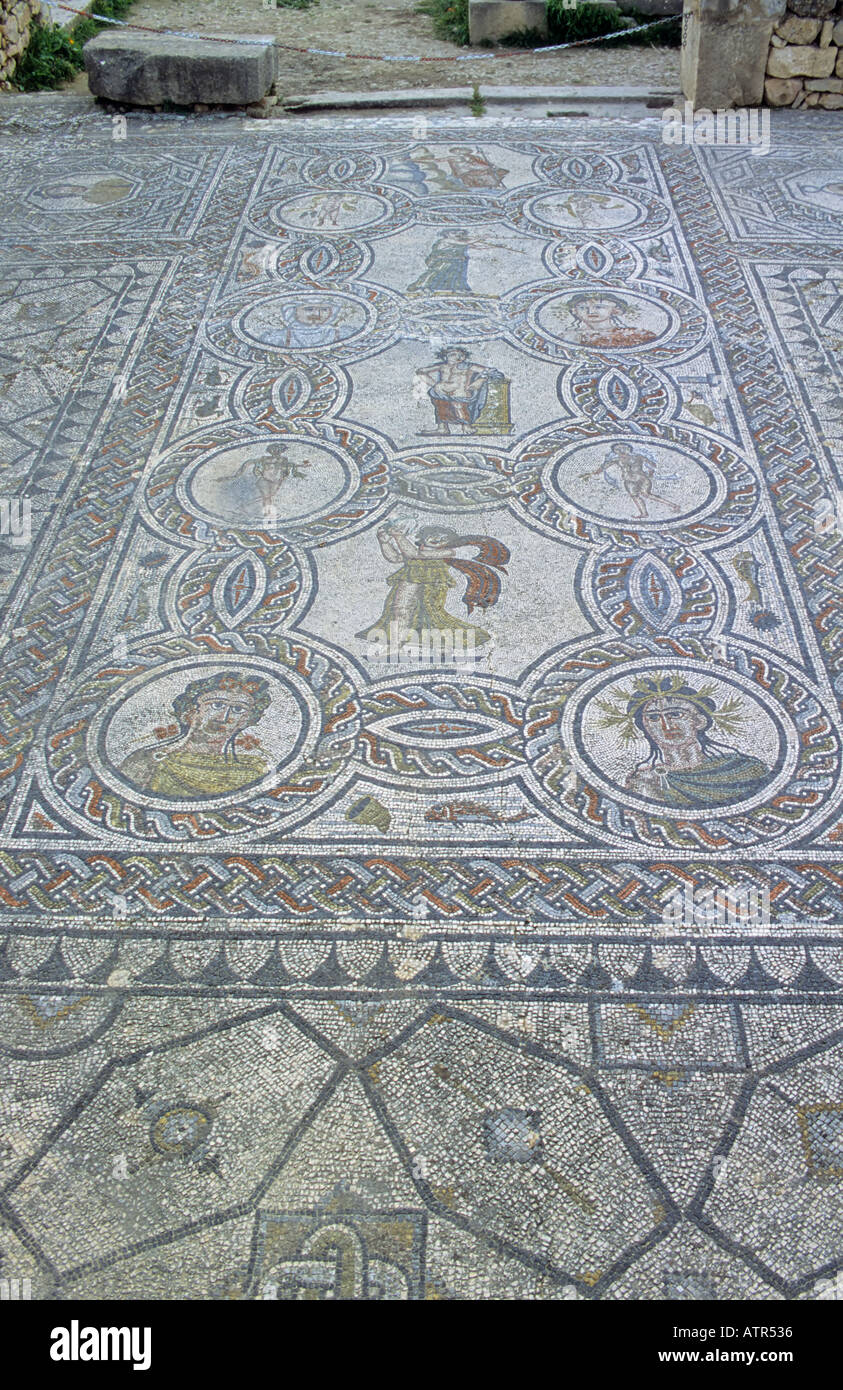 Roman mosaic in morocco hi-res stock photography and images - Alamy