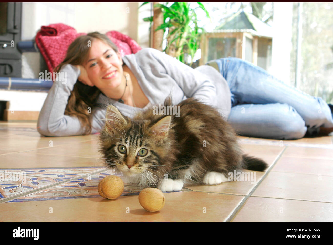 Woman with Maine Coon Cat Stock Photo - Alamy