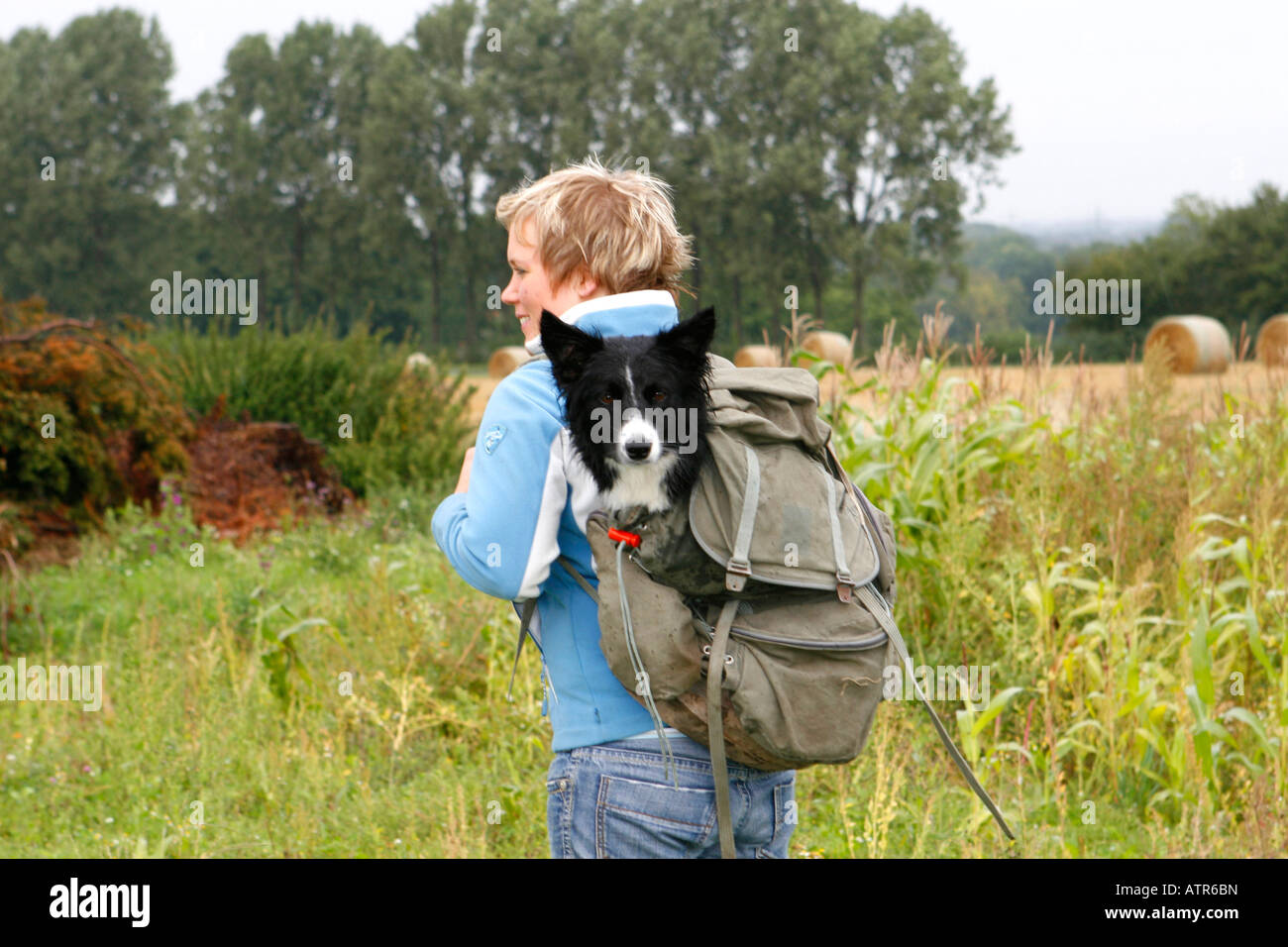 Border Collie Backpack Border Collie Backpack