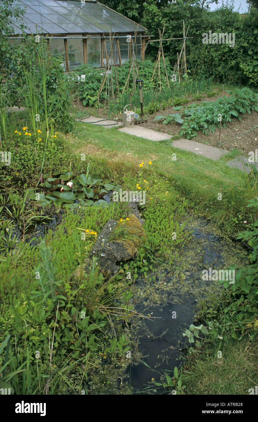 Small vegetable garden with wildlife pond UK Stock Photo