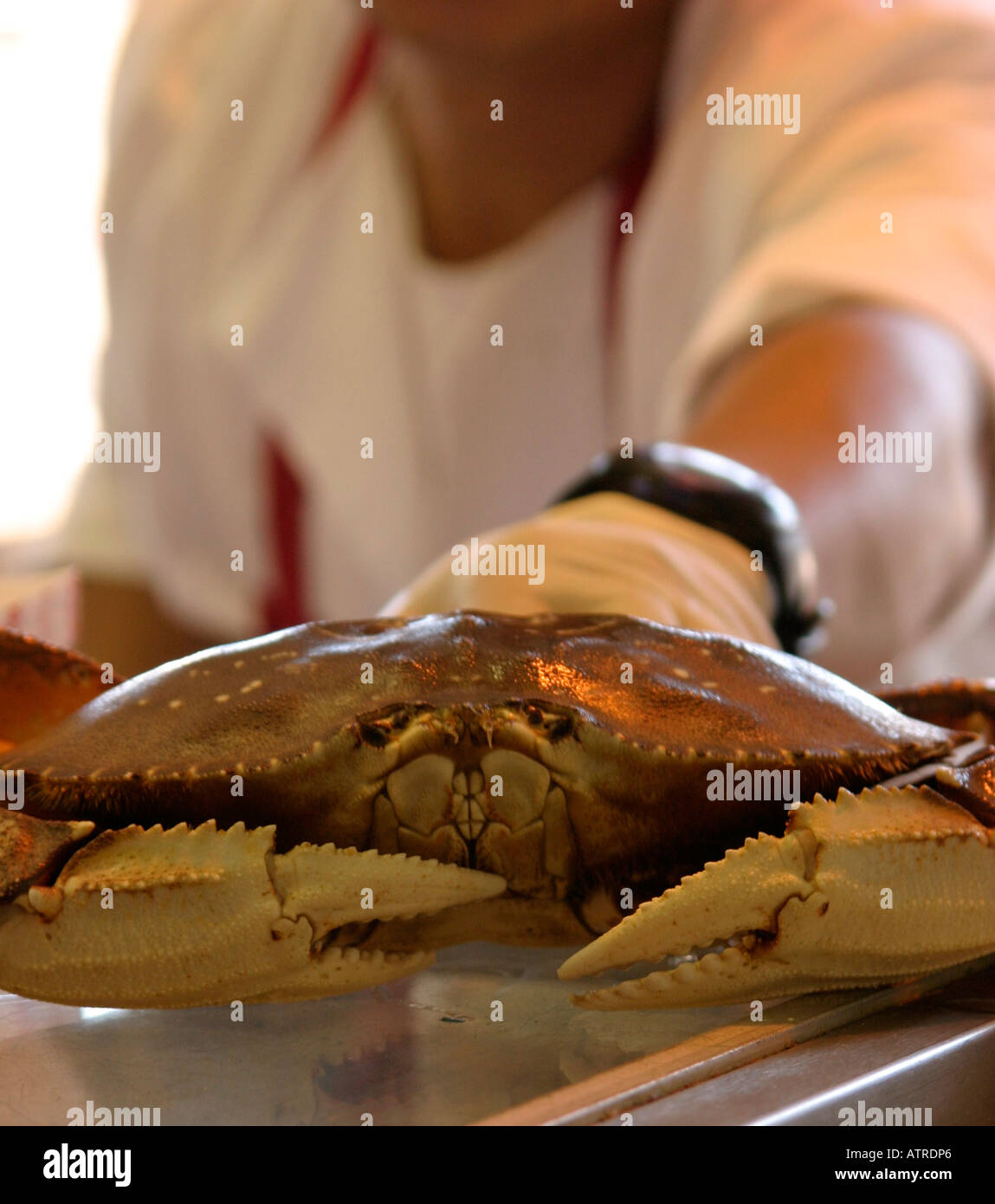 Crab for sale at Fisherman's Wharf. San Francisco, California Stock