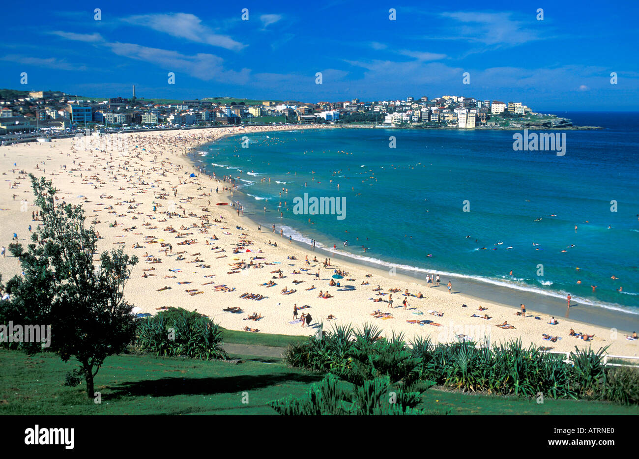 Bondi Beach Sydney Australia Stock Photo