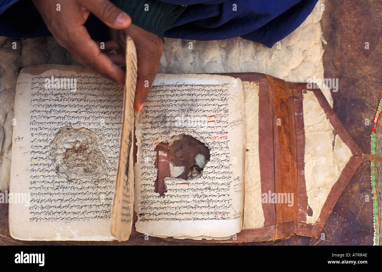 Hundreds years old hand written books eaten by rats in Chinguetti Library in Mauritania Stock Photo